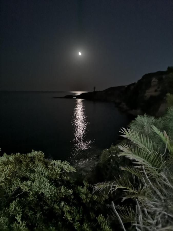 Vakantiehuis Summer Paradise *